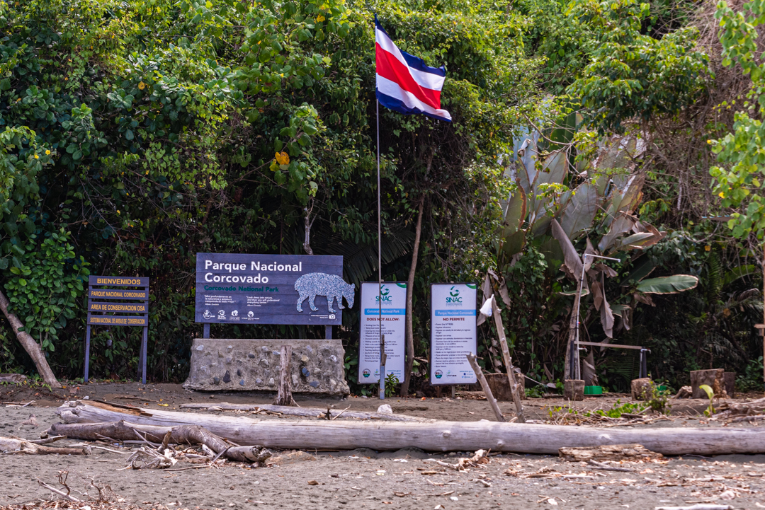 Read more about the article Caño Island and Corcovado National Park