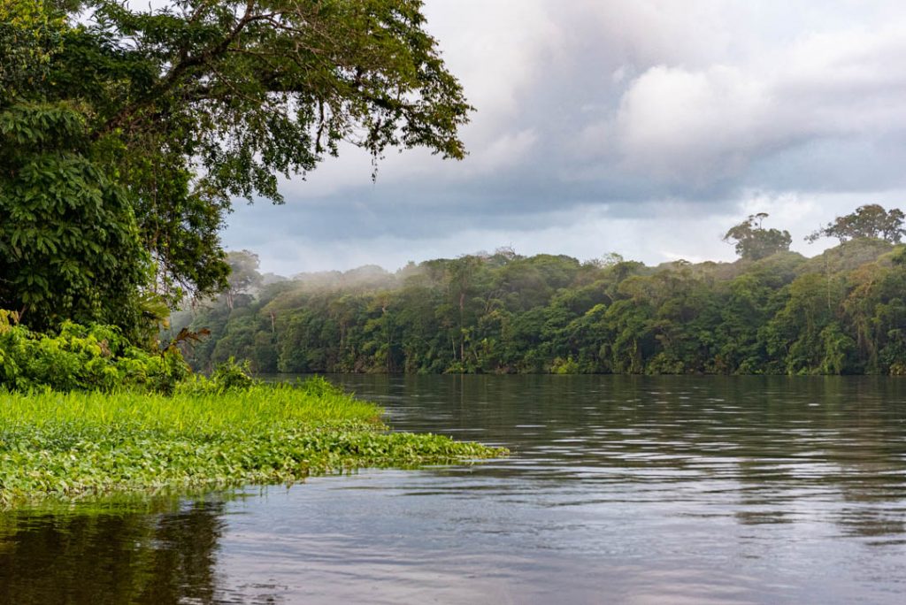 Discover Wildlife Wonderland at Tortuguero