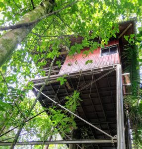 Sleeping in a Treehouse, Maquenque Eco-Lodge