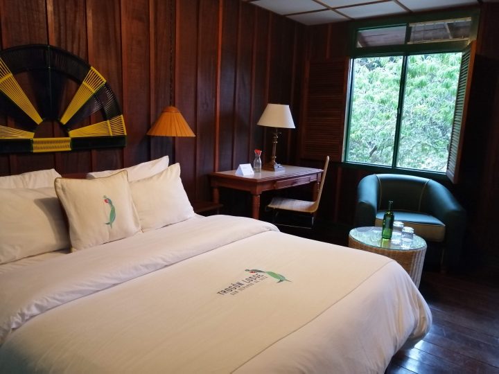 Rooms at Trogon Lodge