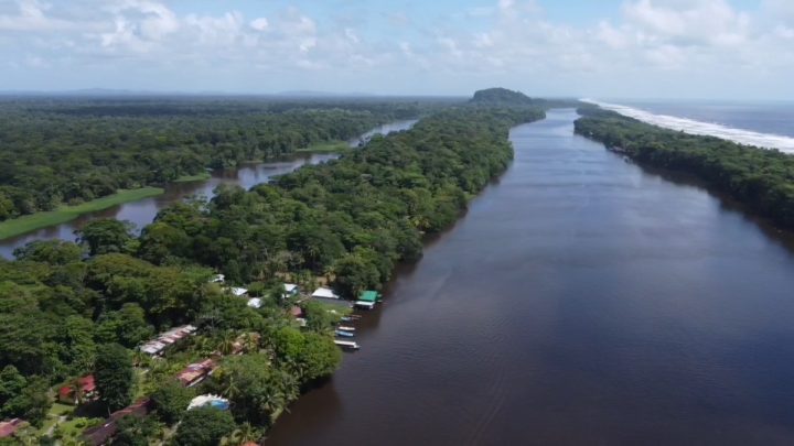 Aerial of Tortuguero National Park