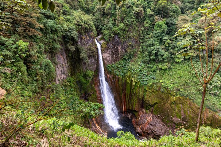 Catarata del Toro - Bajos del Toro